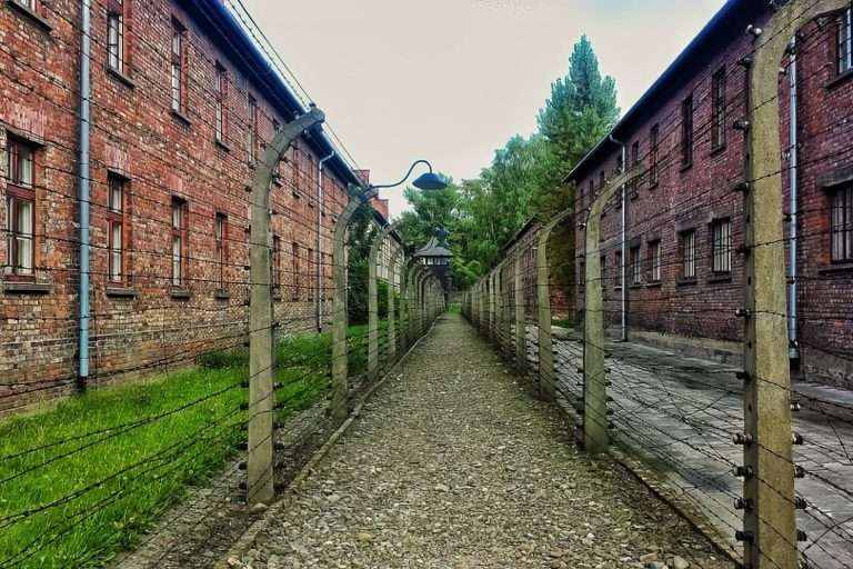Cracovia Low Cost3