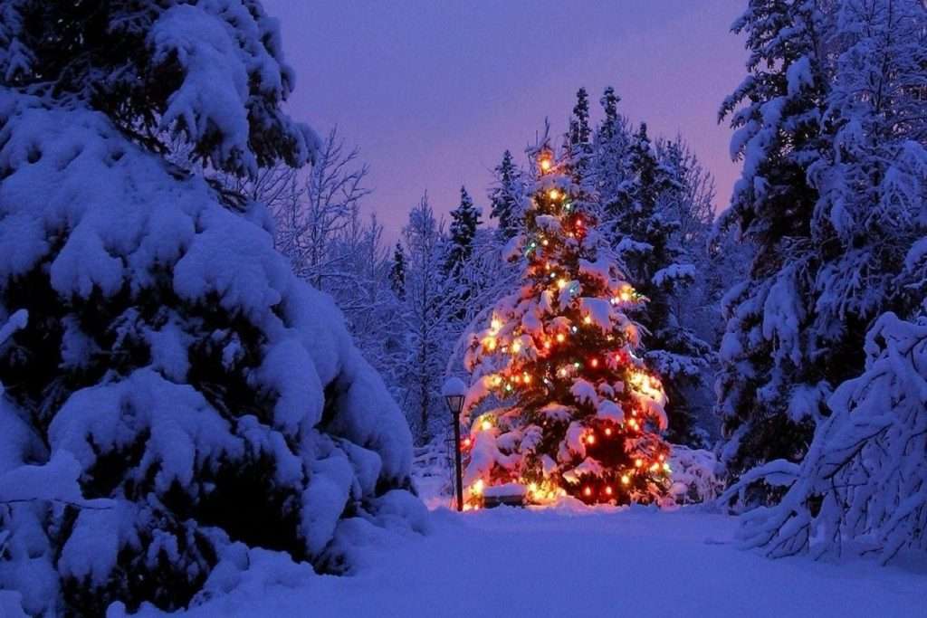 GRAZ Le Luci Del Christkindlmarkt