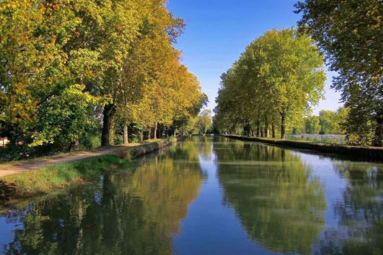 Francia Tour Bordeaux(6)