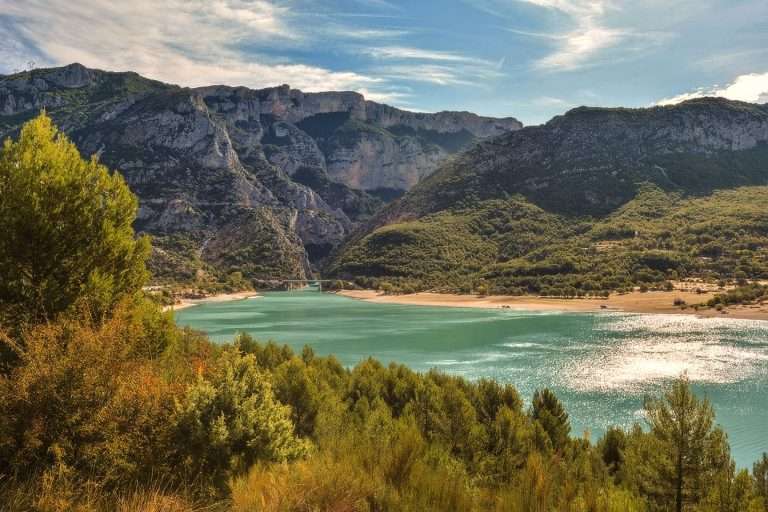 Francia Tour Della Lavanda(1)