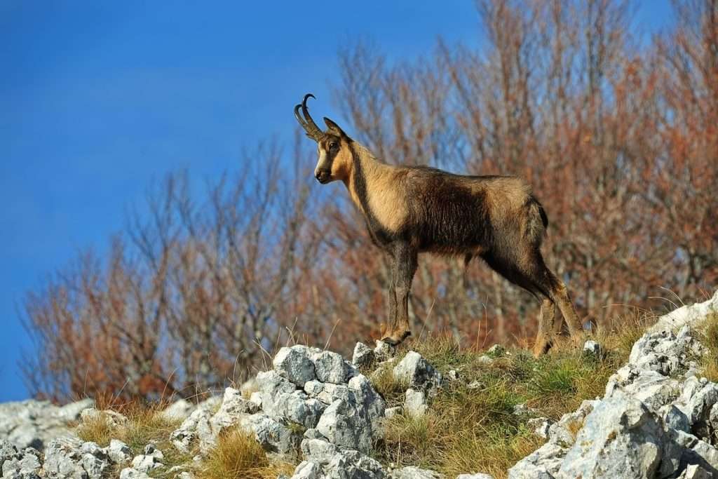 Italia Abruzzo Tour Parco Nazionale D’Abruzzo(12)