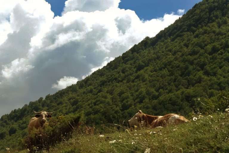 Italia Abruzzo Tour Parco Nazionale D’Abruzzo(4)