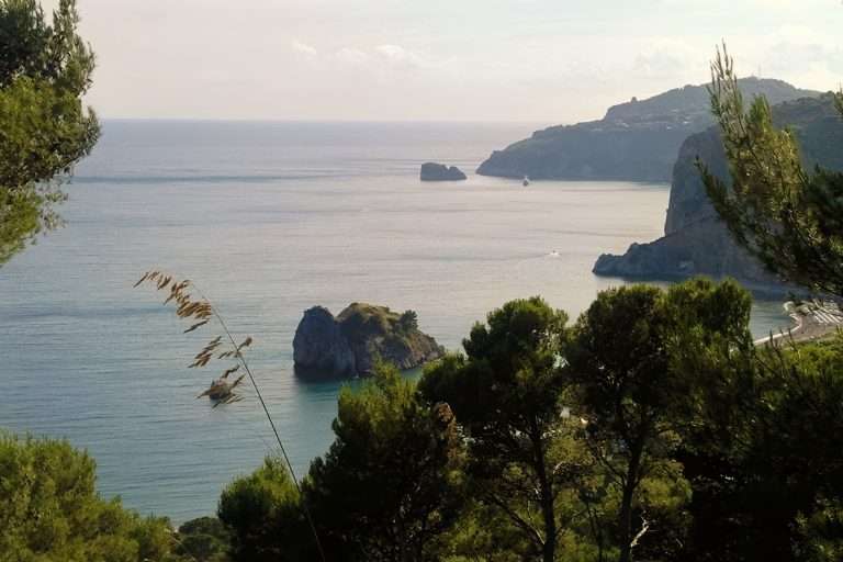 Italia Campania Nelle Terre Del Cilento(4)