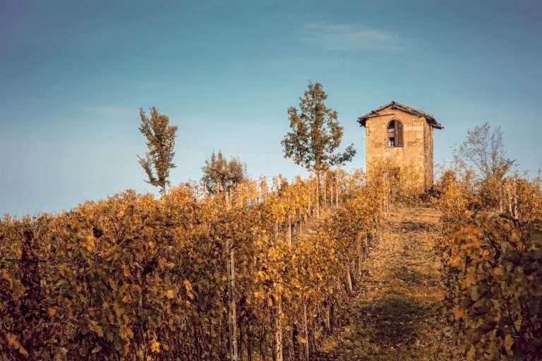 Italia Piemonte Langhe, Roero E Monferrato(8)
