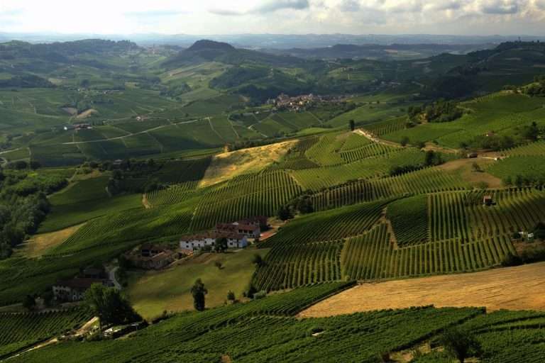 Italia Piemonte Tra Gusto E Storia()