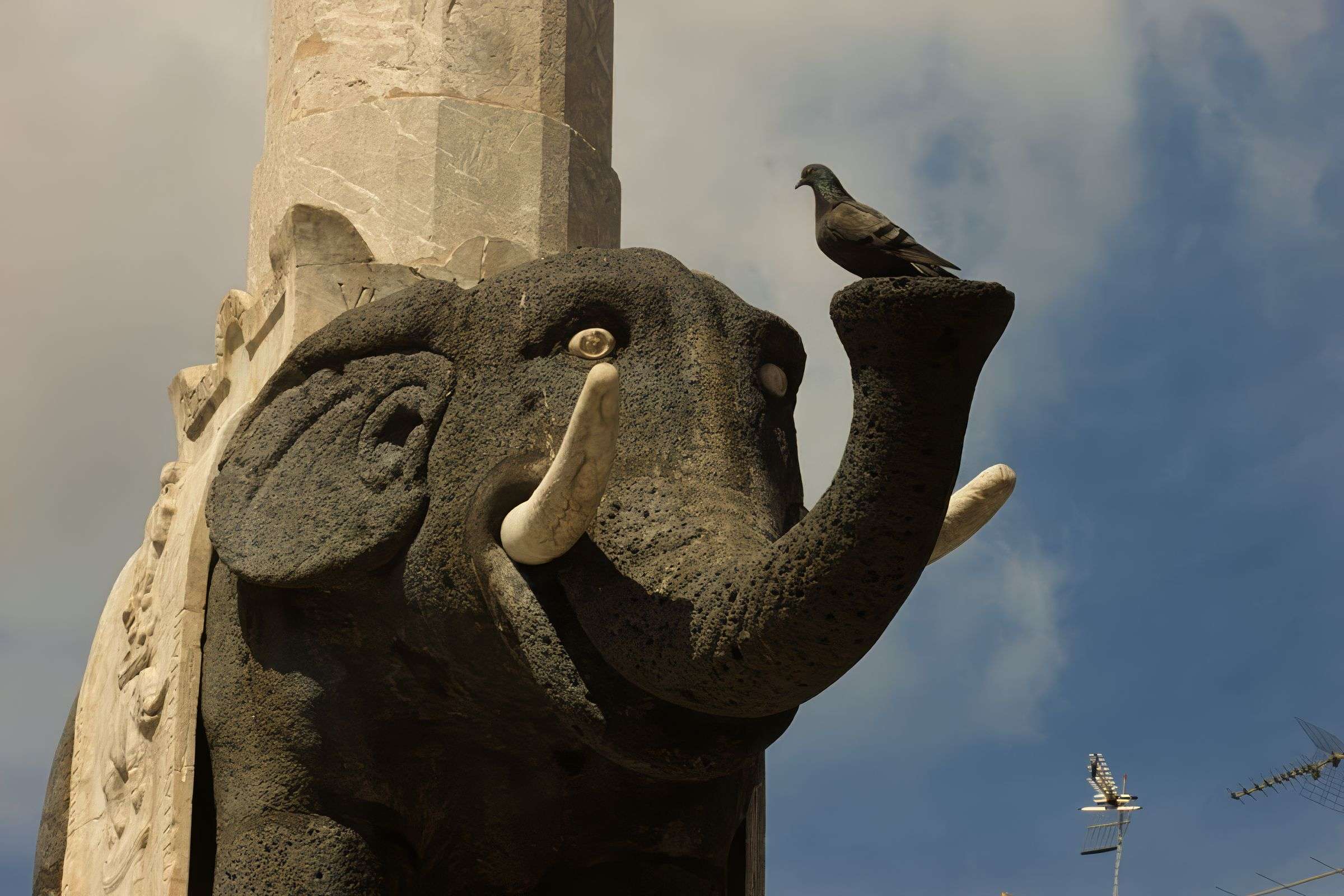 Tour image