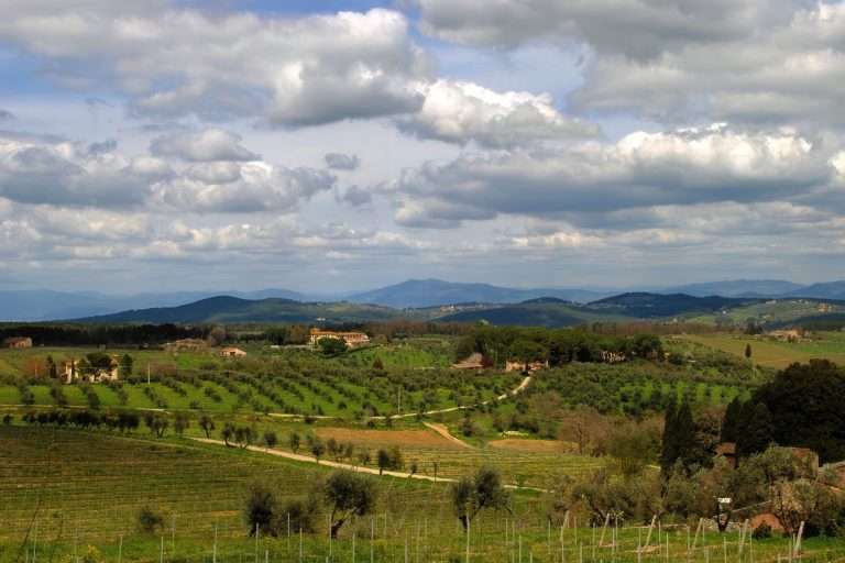 Italia Toscana Firenze Ed Il Chianti(7)