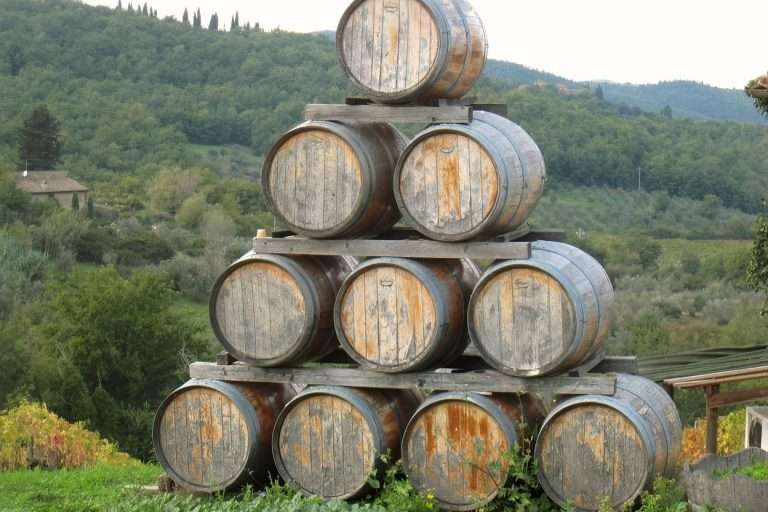 Italia Toscana Firenze Ed Il Chianti(8)