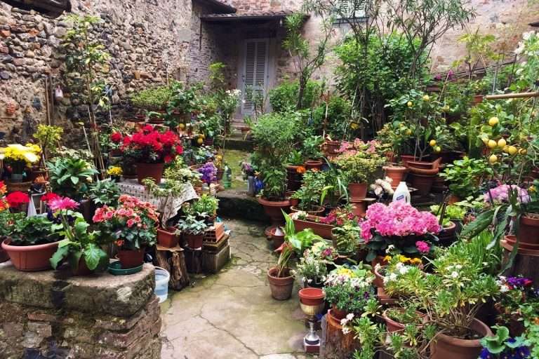 Italia Toscana Sul Cammino Di San Francesco(8)