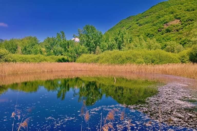 Italia Trentino Tra Le Vigne(2)
