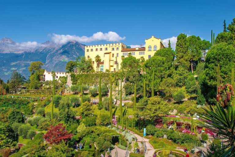 Italia Trentino Tra Le Vigne(6)
