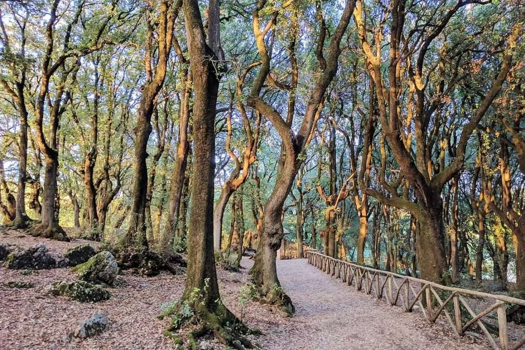 Italia Umbria In Cammino Tra Borghi E Natura(11)