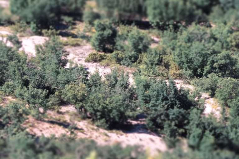 Italia Umbria In Cammino Tra Borghi E Natura(9)