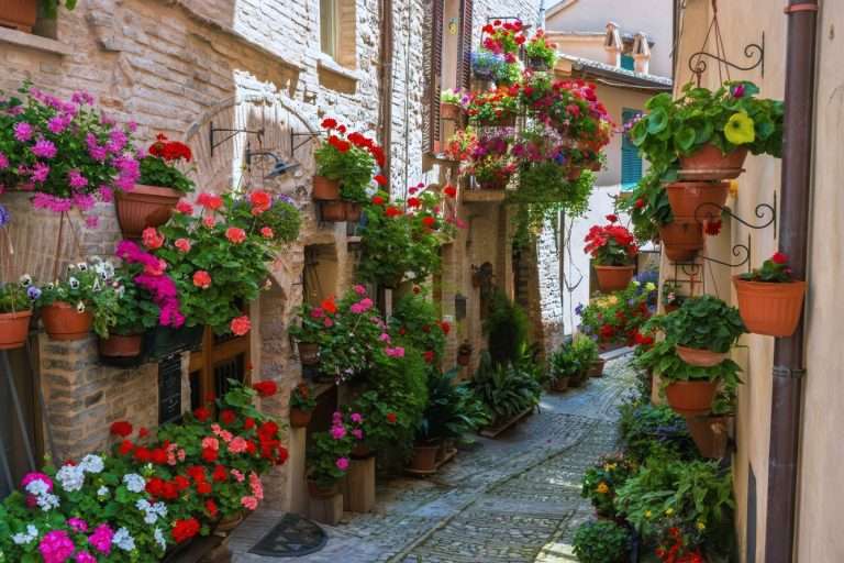 Italia Umbria Umbria And Tuscany Into The Green Heart Of Italy(11)