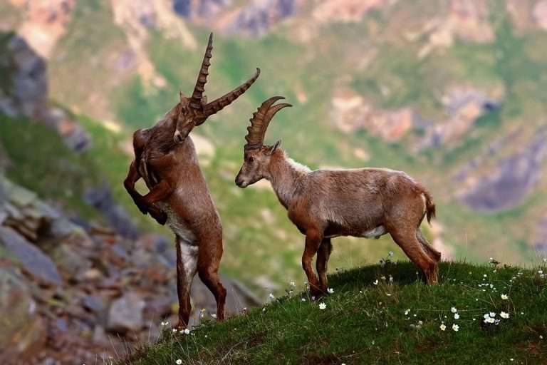 Italia Valledaosta Natura E Autenticità(2)