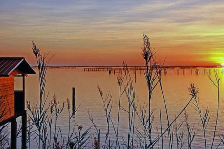 Italia Veneto Da Rovigo Alla Piccola Venezia(4)