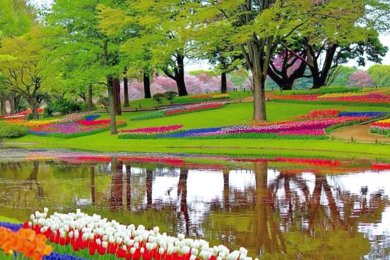 Olanda Tra Canali E Tulipani(9)