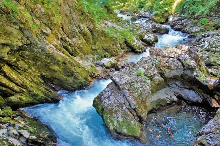Slovenia Insolita Tra Grotte, Sentieri E Castelli(2)