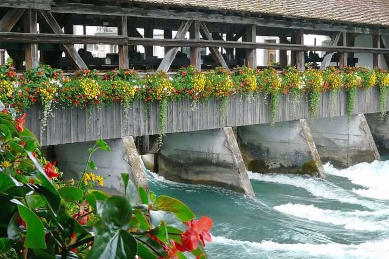 Svizzera D’estate(5)