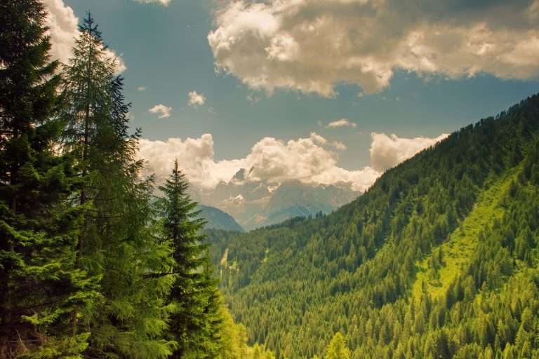 Trentino Andalo